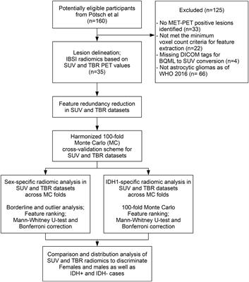 Sex-specific radiomic features of L-[S-methyl-11C] methionine PET in patients with newly-diagnosed gliomas in relation to IDH1 predictability